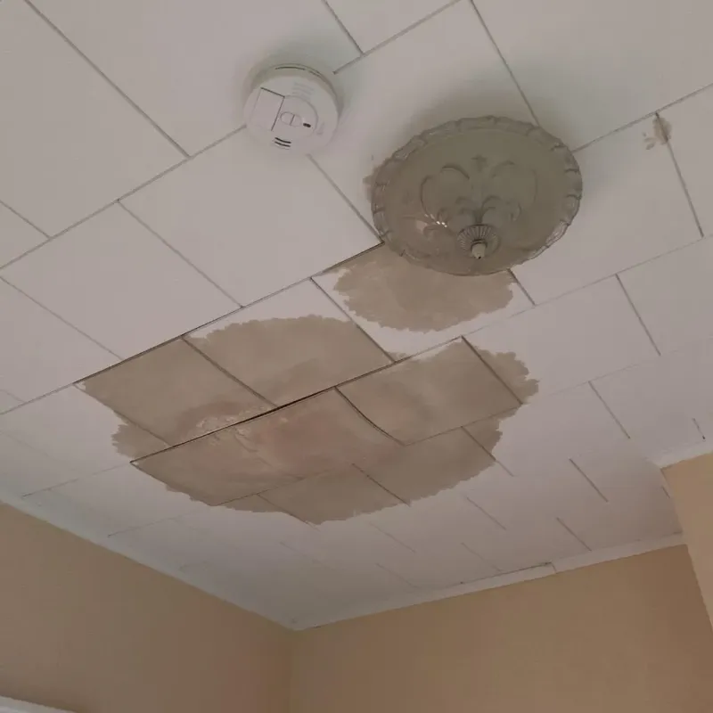Ceiling Water Damage Repair in South Russell, OH